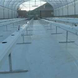 30m NFT Trellis Crop Production Line with Aluminium Structure