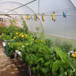 Home Hydroponic Garden (Double)