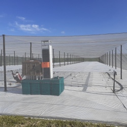 SMART Plant Life Support System 