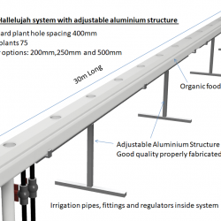 30m NFT Trellis Crop Production Line with Aluminium Structure