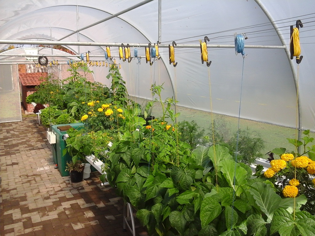 NFT Home Grower System