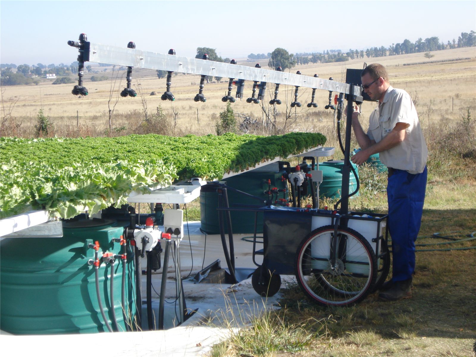 Early hydroponic lettuce production and irrigation equipment