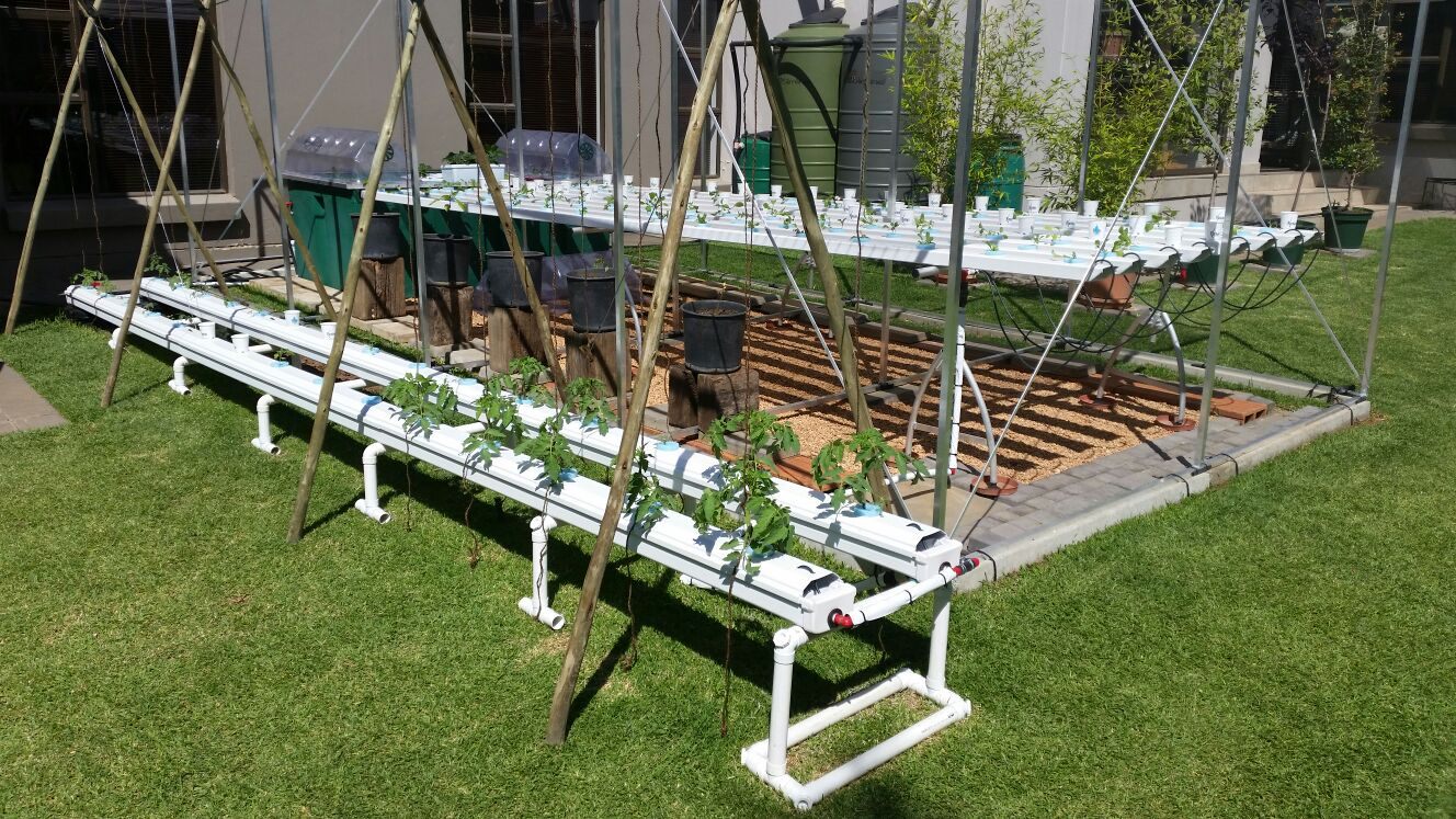 Small Hallelujah trial system beside the Home Hydroponic System
